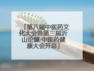 第八届中医药文化大会暨第三届沂山论健·中医药健康大会开幕