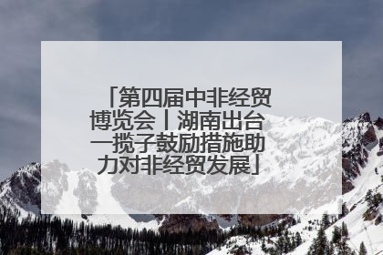 第四届中非经贸博览会丨湖南出台一揽子鼓励措施助力对非经贸发展