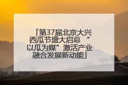 第37届北京大兴西瓜节盛大启幕 “以瓜为媒”激活产业融合发展新动能