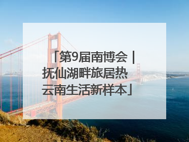 第9届南博会｜抚仙湖畔旅居热 云南生活新样本