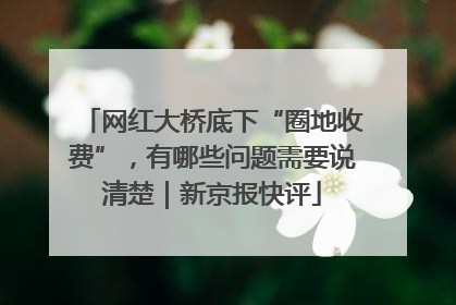 网红大桥底下“圈地收费”，有哪些问题需要说清楚｜新京报快评