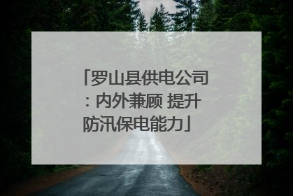 罗山县供电公司：内外兼顾 提升防汛保电能力