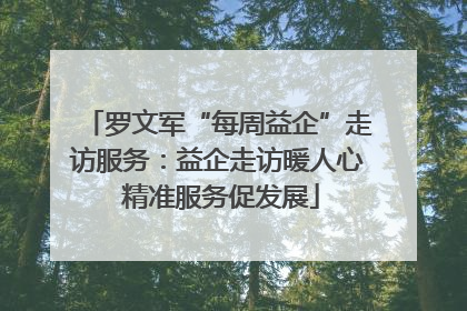 罗文军“每周益企”走访服务：益企走访暖人心 精准服务促发展