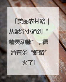 美丽农村路｜从泥泞小道到“精灵动脉”，德清有条“虾路”火了
