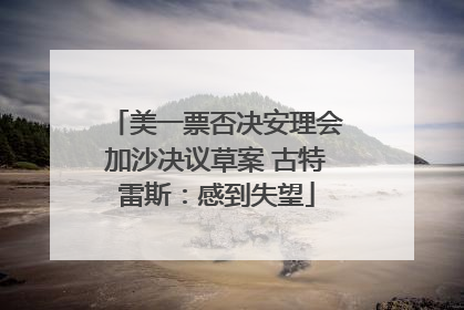 美一票否决安理会加沙决议草案 古特雷斯：感到失望