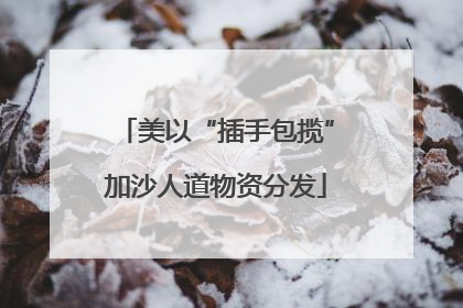 美以“插手包揽”加沙人道物资分发