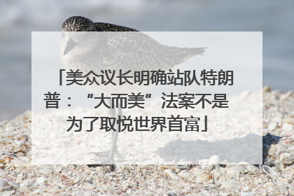 美众议长明确站队特朗普：“大而美”法案不是为了取悦世界首富