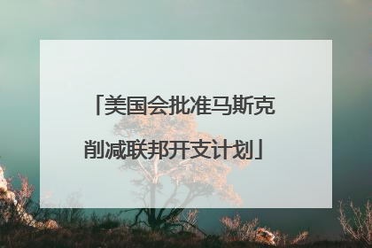 美国会批准马斯克削减联邦开支计划