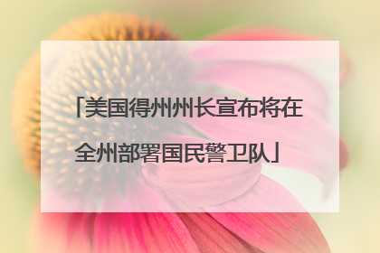 美国得州州长宣布将在全州部署国民警卫队