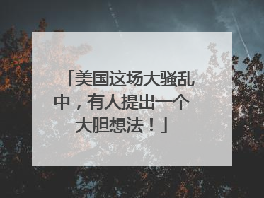 美国这场大骚乱中，有人提出一个大胆想法！