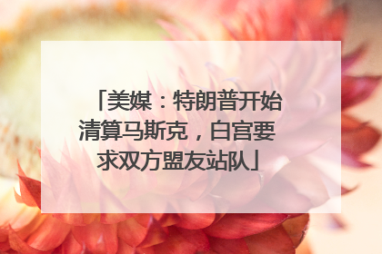 美媒：特朗普开始清算马斯克，白宫要求双方盟友站队