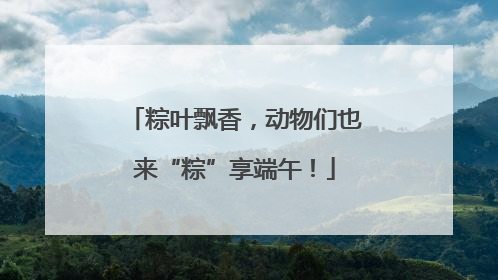 粽叶飘香，动物们也来“粽”享端午！