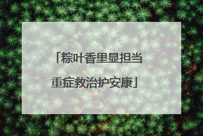 粽叶香里显担当 重症救治护安康