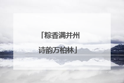 粽香满并州 诗韵万柏林