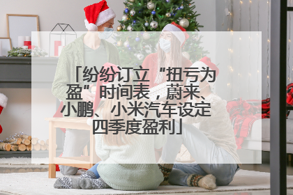 纷纷订立“扭亏为盈”时间表，蔚来、小鹏、小米汽车设定四季度盈利