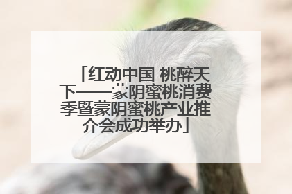 红动中国 桃醉天下——蒙阴蜜桃消费季暨蒙阴蜜桃产业推介会成功举办
