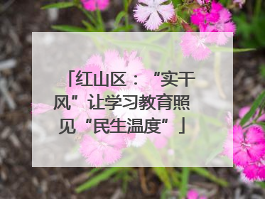 红山区：“实干风”让学习教育照见“民生温度”