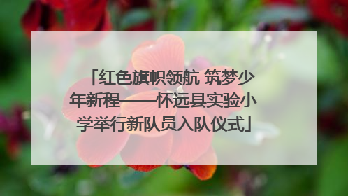 红色旗帜领航 筑梦少年新程——怀远县实验小学举行新队员入队仪式