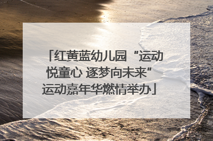 红黄蓝幼儿园“运动悦童心 逐梦向未来”运动嘉年华燃情举办