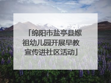 绵阳市盐亭县嫘祖幼儿园开展早教宣传进社区活动