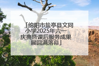 绵阳市盐亭县文同小学2025年六一庆典暨课后服务成果展圆满落幕