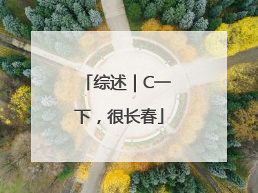 综述｜C一下，很长春