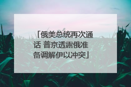 俄美总统再次通话 普京透露俄准备调解伊以冲突