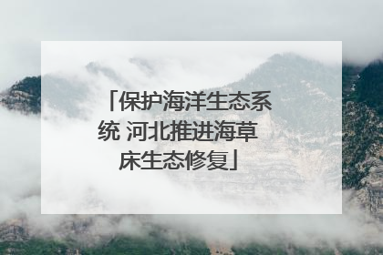 保护海洋生态系统 河北推进海草床生态修复