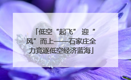 低空“起飞” 迎“风”而上——石家庄全力竞逐低空经济蓝海