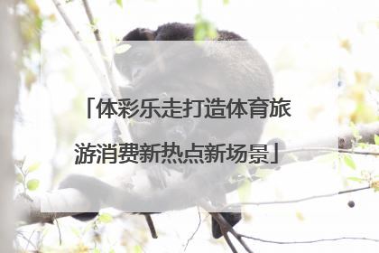 体彩乐走打造体育旅游消费新热点新场景