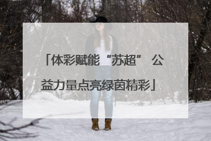 体彩赋能“苏超” 公益力量点亮绿茵精彩