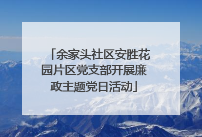 余家头社区安胜花园片区党支部开展廉政主题党日活动