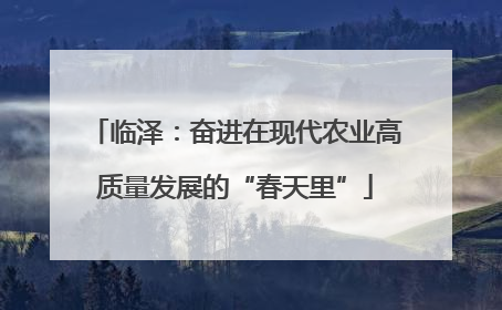 临泽：奋进在现代农业高质量发展的“春天里”