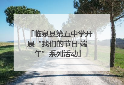 临泉县第五中学开展“我们的节日·端午”系列活动