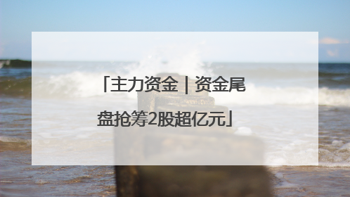 主力资金｜资金尾盘抢筹2股超亿元