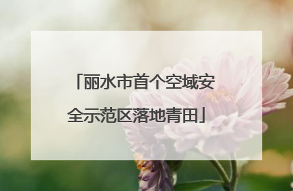 丽水市首个空域安全示范区落地青田