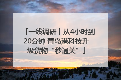 一线调研丨从4小时到20分钟 青岛港科技升级货物“秒通关”