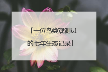 一位鸟类观测员的七年生态记录
