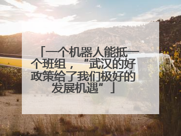 一个机器人能抵一个班组，“武汉的好政策给了我们极好的发展机遇”