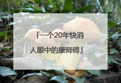 一个20年快消人眼中的康师傅