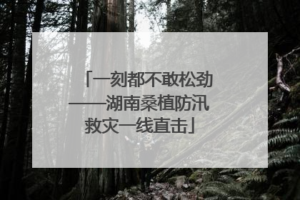 一刻都不敢松劲——湖南桑植防汛救灾一线直击