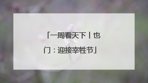 一周看天下丨也门：迎接宰牲节