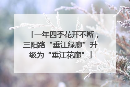 一年四季花开不断，三阳路“垂江绿廊”升级为“垂江花廊”