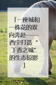 一座城和一株花的双向奔赴——西宁打造“丁香之城”的生态掠影