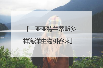 三亚亚特兰蒂斯多样海洋生物引客来