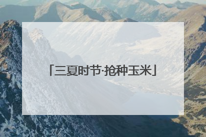 三夏时节·抢种玉米
