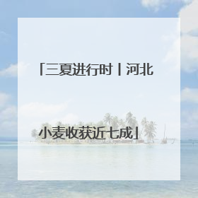 三夏进行时丨河北小麦收获近七成