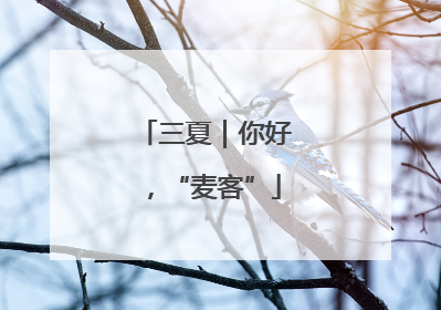 三夏｜你好，“麦客”