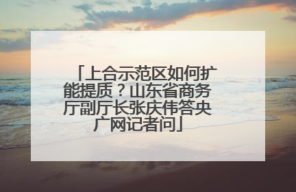 上合示范区如何扩能提质？山东省商务厅副厅长张庆伟答央广网记者问