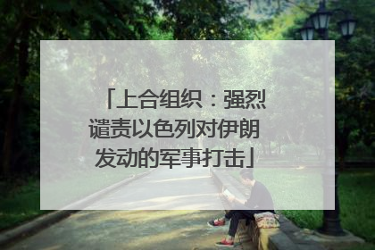 上合组织：强烈谴责以色列对伊朗发动的军事打击